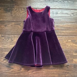 Genuine Kids Purple Velvet Dress